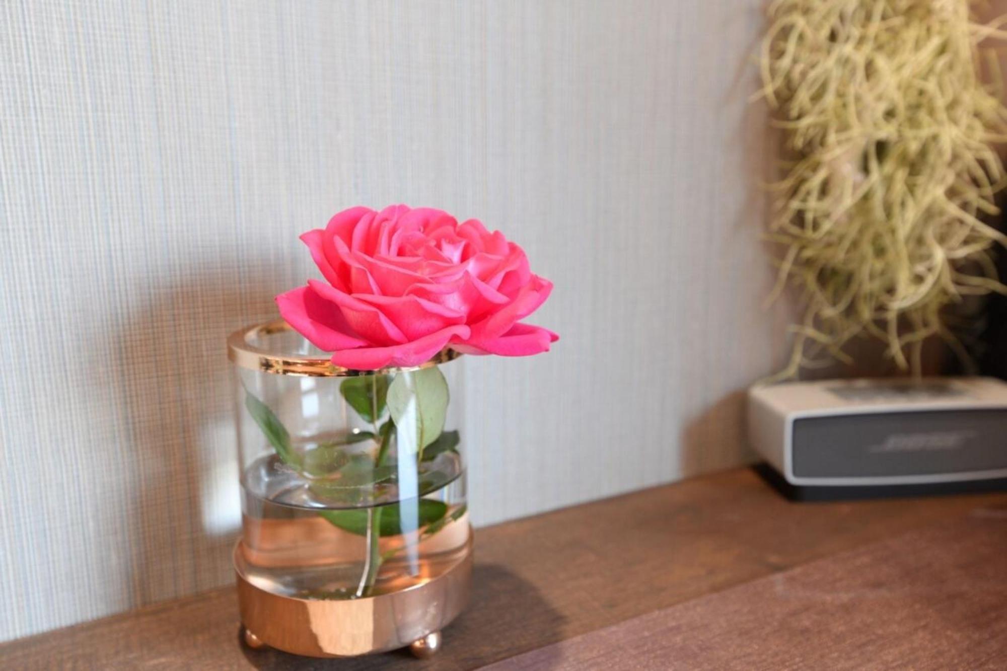 Hotel Tokyo Hub - Vacation Stay 27694V エクステリア 写真